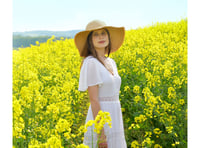 Golden Brown: emerging Alton musician on drinking in the sunlight