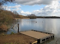 Police appeal after Canada goose killed and swan injured