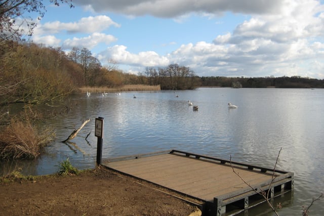 Police appeal after Canada goose killed and swan injured