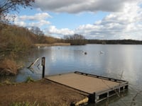 Police appeal after Canada goose killed and swan injured