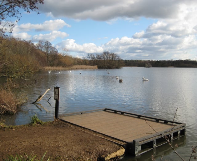 Police appeal after Canada goose killed and swan injured