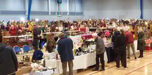 Antiques fair will be valuable experience for auction house 