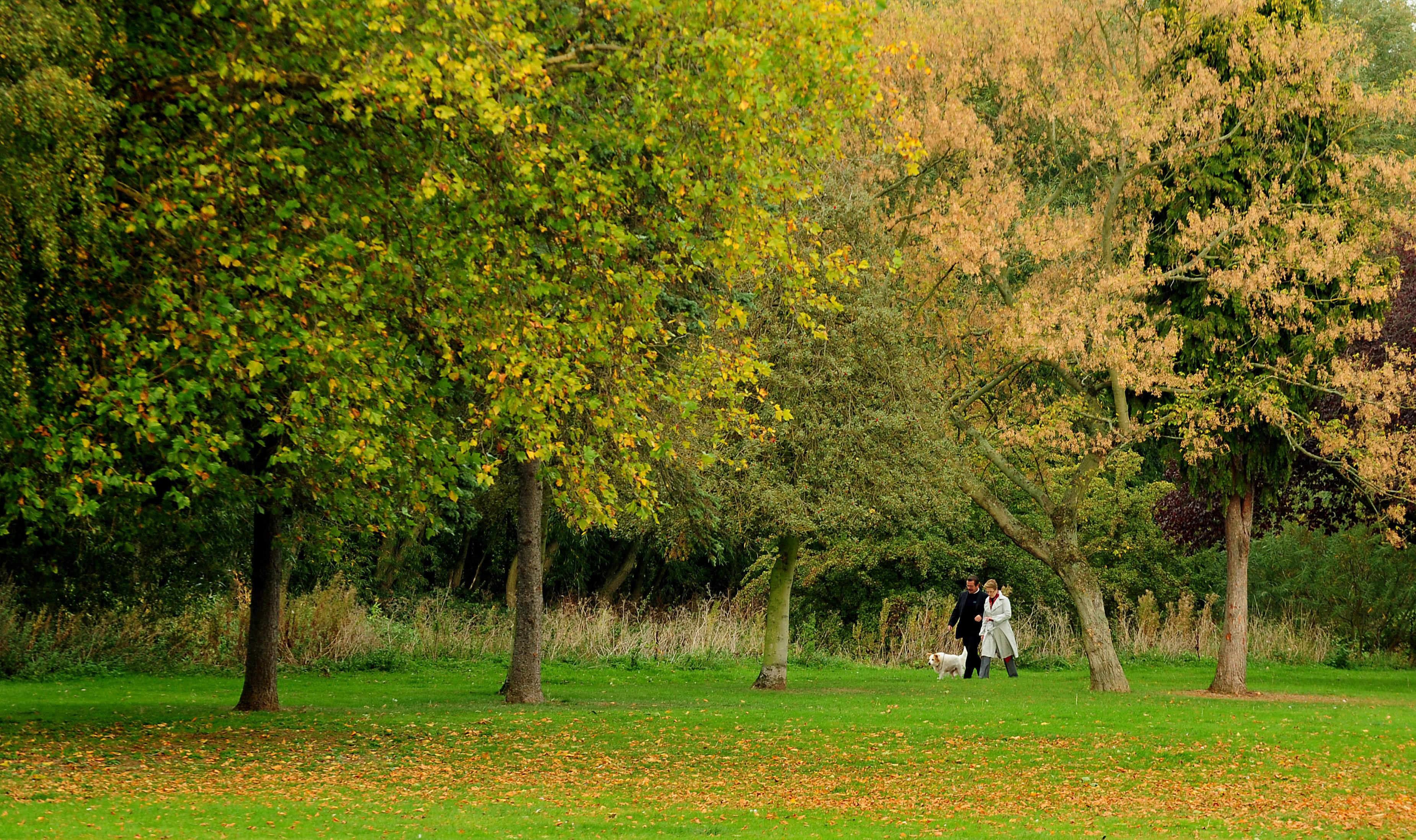 Access to green space in East Hampshire lower than South East average