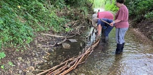 Top marks for perfect ten as volunteers help out at Flood Meadows