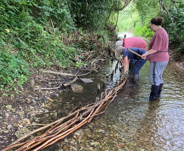 Top marks for perfect ten as volunteers help out at Flood Meadows