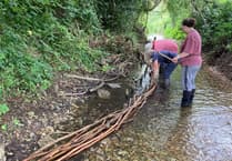 Top marks for perfect ten as volunteers spruce up Alton beauty spot