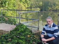 Claims pond is being neglected as man's clean-up bid is praised
