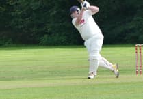 Waverley slip to defeat against Hartley Wintney