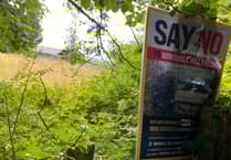 Gripes about protected Petersfield and "divisive" Alton Neighbourhood Plan process