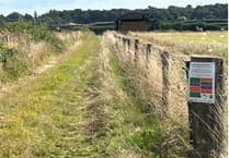 New signs celebrate Surrey Hills’ invertebrate wonders