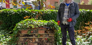 Five-star treatment for churchyard’s creepy crawlies