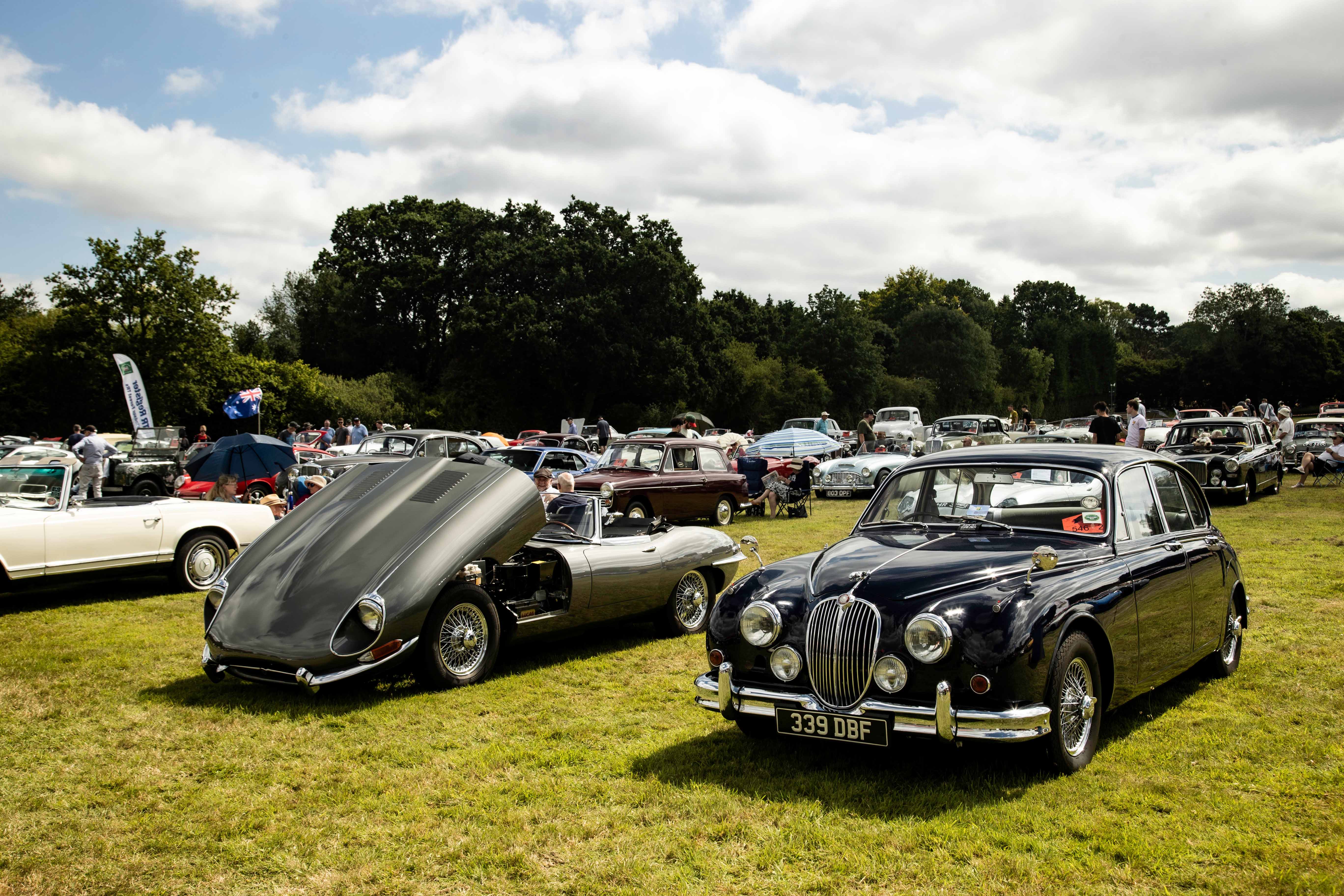 Churt Motor show raises £50,000 for Farnham charity | altonherald.com