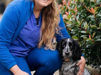 Petersfield vets warns pet owners of the dangers of grass seeds