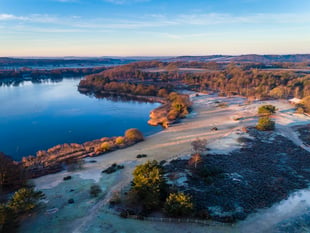Surrey Hills could expand by 30 per cent