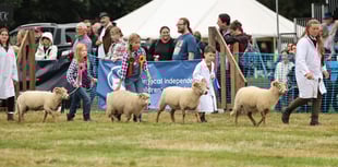 Housebuilder's financial show of support for Alresford event
