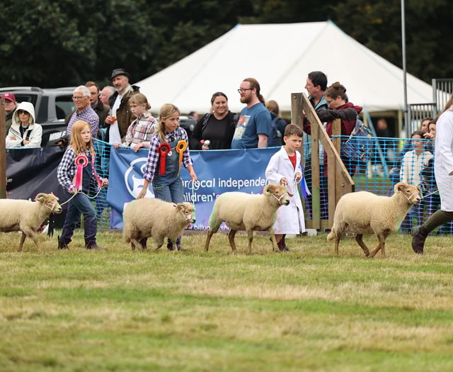 Housebuilder's financial show of support for Alresford event