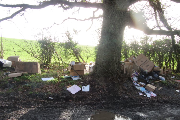 Four Marks fly tipping