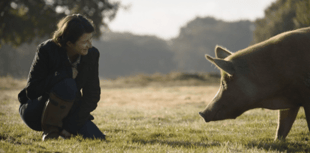 Film shows what happens when a farm is left to grow wild
