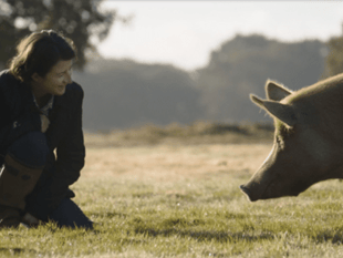 Film shows what happens when a farm is left to grow wild
