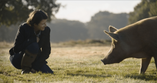 Isabella Tree with a Tamworth pig in Wilding.