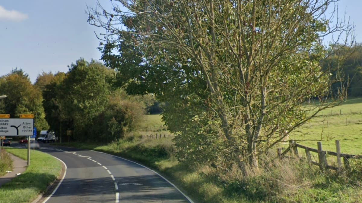 Leaflet drop shows intent of homes delivery