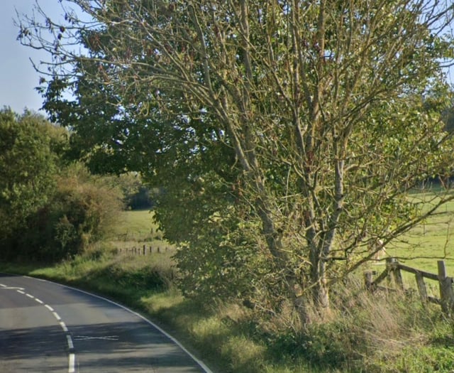 Leaflet drop shows intent of homes delivery