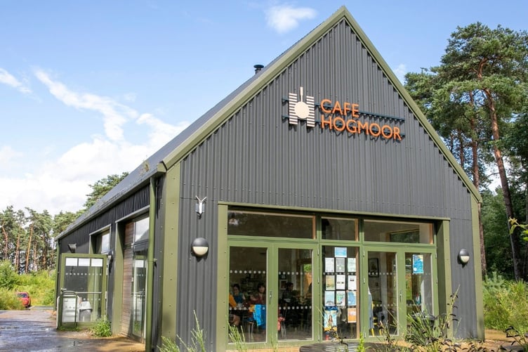 Hogmoor Inclosure Cafe Bean Gone Coffee