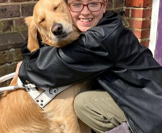 Child attacks assistance dog causing handler to have a medical episode