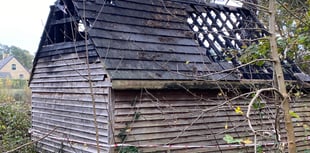 Bat hotel owner finally identified, but will it ever rise again?