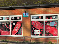Old and young contribute to vibrant Remembrance Day poppy display