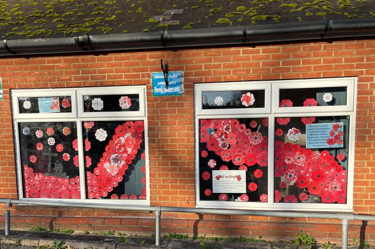 Remembrance Day poppy display, Alton Community Centre, November 2024.