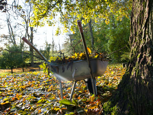 Join council garden waste service