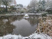 VIDEO: Snow falls in East Hampshire creating a winter wonderland