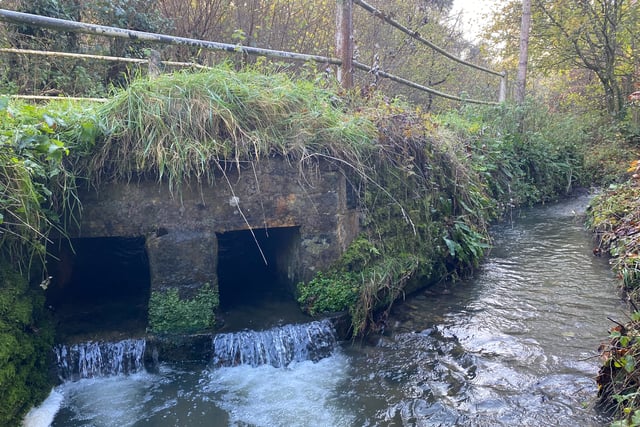 Waverley council condemns Thames Water after flood of failures