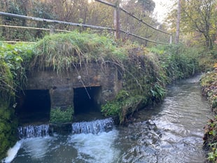 Dirty weekend of shame as sewage pumped into Wey for 49 hours