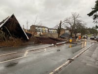 Trees downed and power lost as Storm Darragh leaves its mark