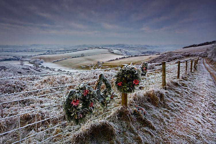 Butser Hill Hampshire