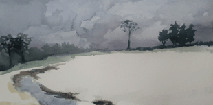 Paint the four seasons in watercolour at Alton Library 