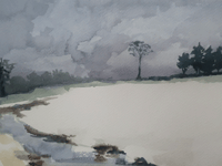 Paint the four seasons in watercolour at Alton Library 
