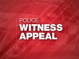 Woman seriously injured after being hit by double-decker bus