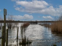 MPs unite to oppose McDonald’s next to nature reserve