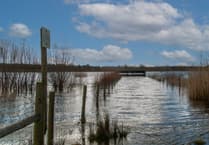 MPs unite to oppose McDonald’s next to nature reserve