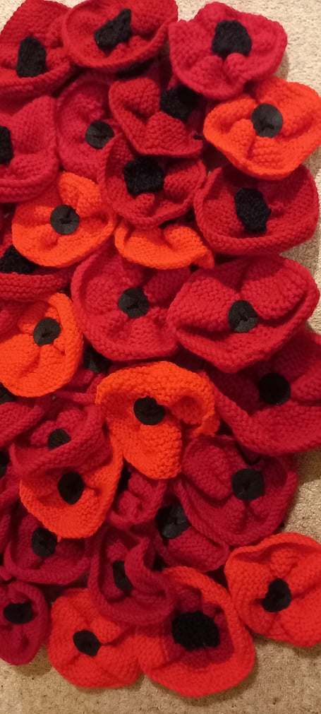 Petersfield Poppy project