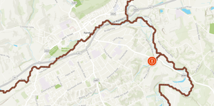 Thames Water discharged sewage into Farnham Park for 21 days in 2024