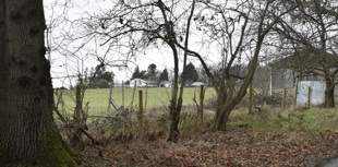 Public urged to have their say on plans for five new homes in Tilford