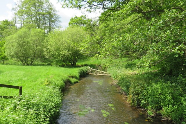 Your letters to the editor: Keep the River Wey flowing
