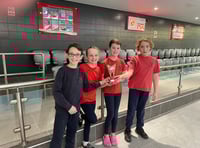 Swimmers make a splash in annual Alton primary schools gala