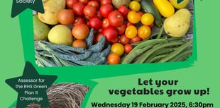 Learn how to grow more vegetables in your patch
