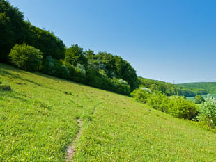 Buriton nature reserve expands thanks to supporters