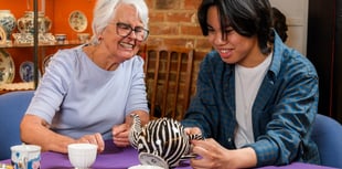 Allen Gallery and Curtis Museum will benefit from volunteer cash